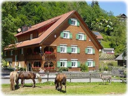 Hotel Gasthaus Schäfle