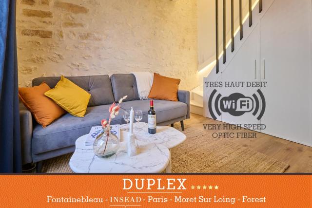 Duplex standing 7min➤Fontainebleau-INSEAD⎮45min➤Paris