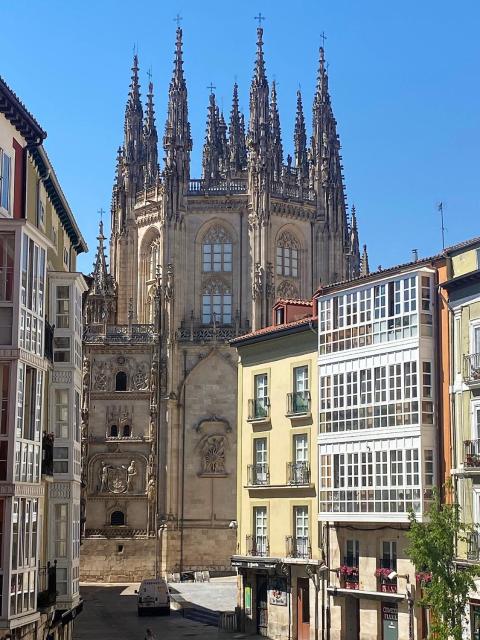 APARTAMENTOS LA FLORA BURGOS todos con aire acondicionado y ascensor