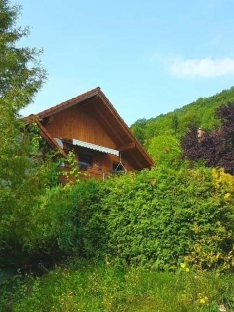 Wohnung in Bad Ditzenbach mit Eigenem Garten