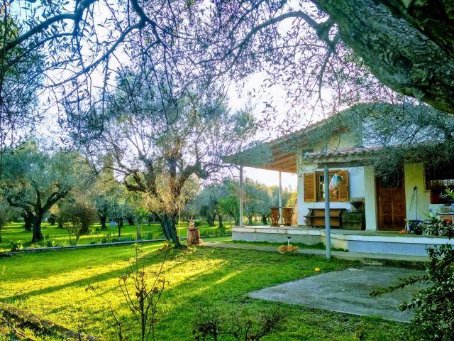 Nafpaktos cottage by the sea for travelers and dreamers!