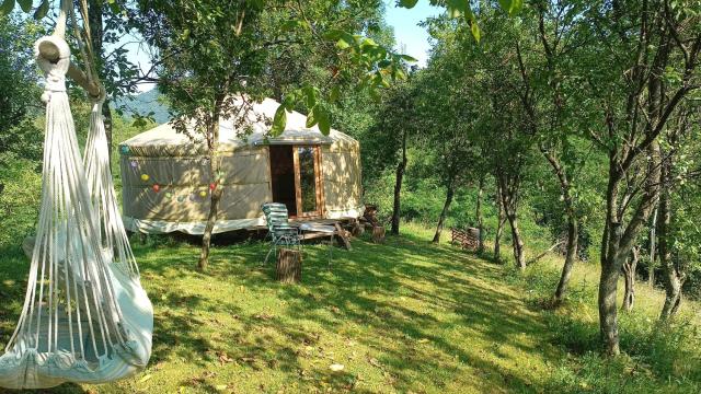 Romantic yurt in Apuseni mountains