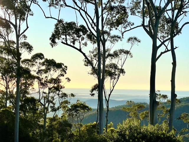 Tamborine Mountain Lodge