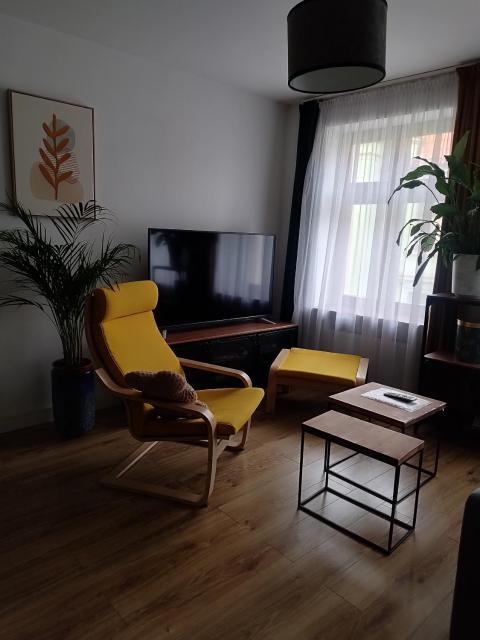 Apartament KO-Piernika w samym sercu Torunia :)