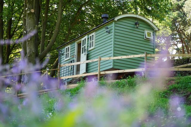 Lavender Retreat with Private Hot Tub