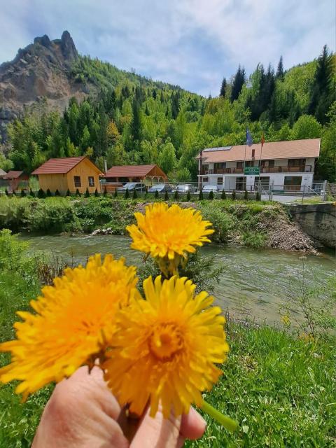 Pensiunea Cheile Șugăului