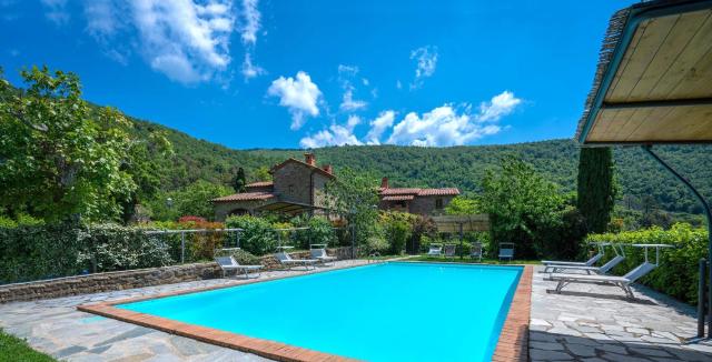 Colle Degli Ulivi - pool, nature, relax holiday home Cortona, Italia