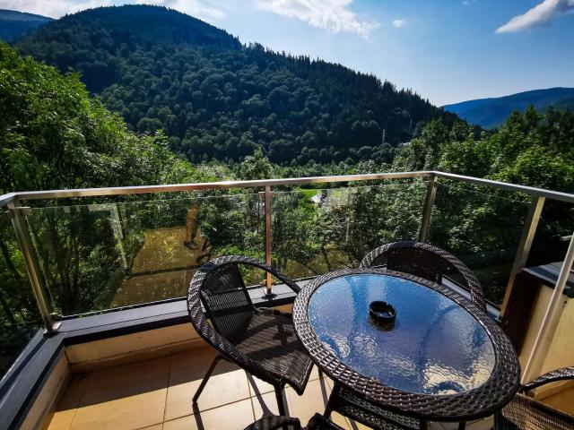 Orchid Luxury Apartment Sinaia