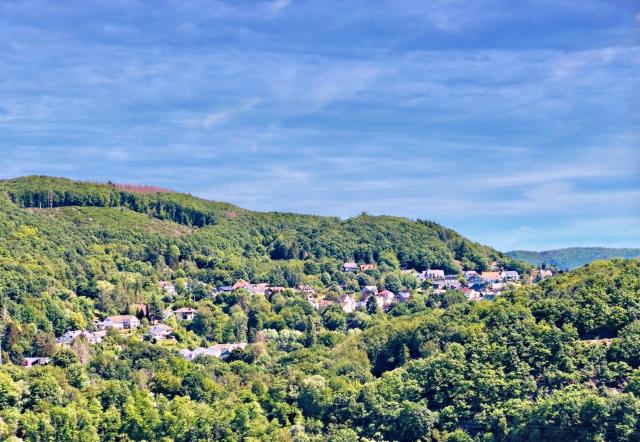 Natur Panorama Suiten am Rursee