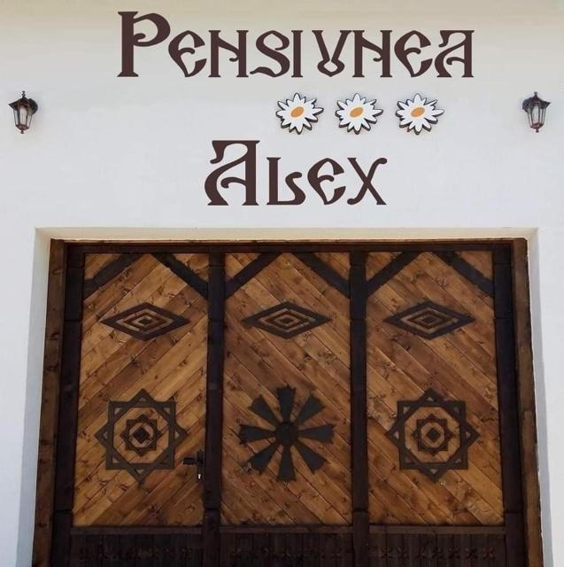 Pensiunea Alex