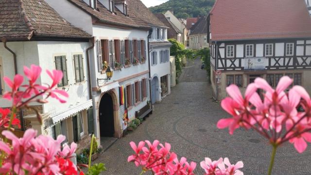 Haus Wasmuth - Ferienwohnung DORFPLATZ