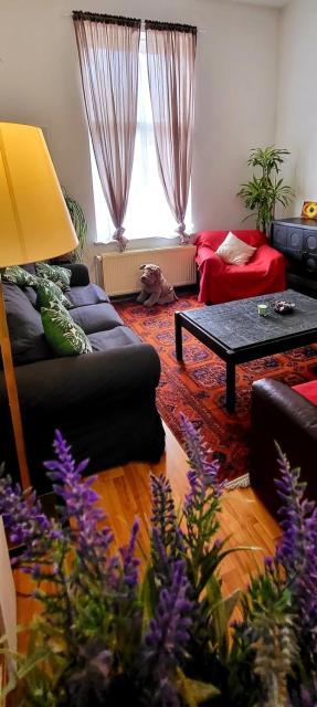 Bright studio close to Zaventem airport