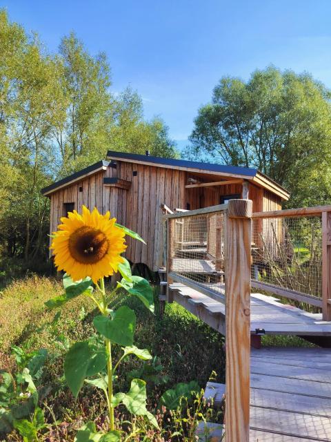 La Cabane d'Ode