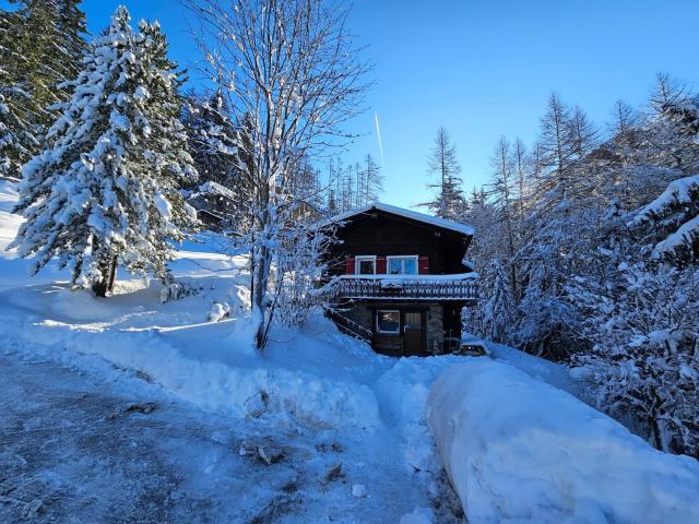 Petit chalet rustique et bucolique