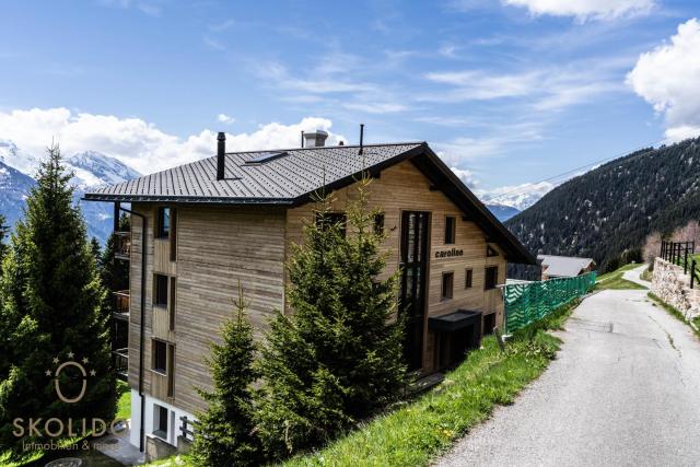 Haus Caroline, Riederalp Mitte Studio 2, Stock