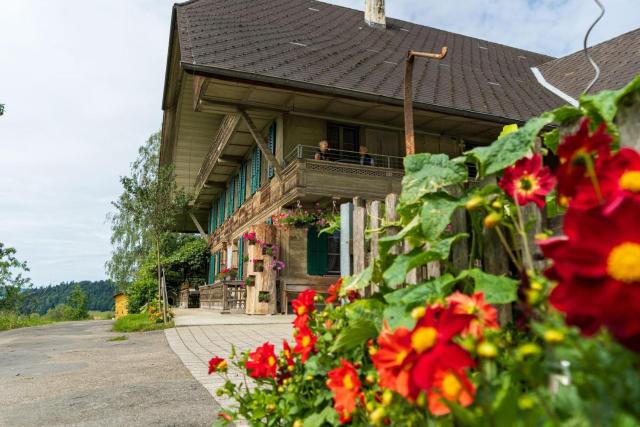 Ferienwohnung auf Bauernhof mit Hotpot und Sauna