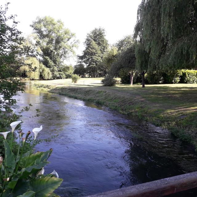 LES ENFANTS DU MOULIN