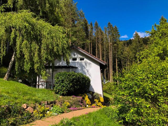 Surrbach Chalet