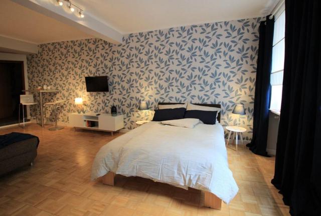 FerienNest Bad Ems, Appartment RankenNest