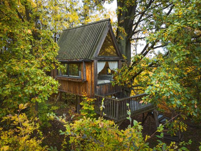 ENJOY COZY Tree House Hills Forest Gardens Beautiful Views Sauna Hotbath