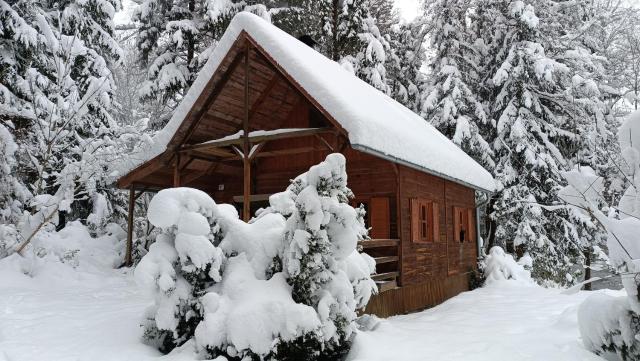 Chata Sport Vysočina