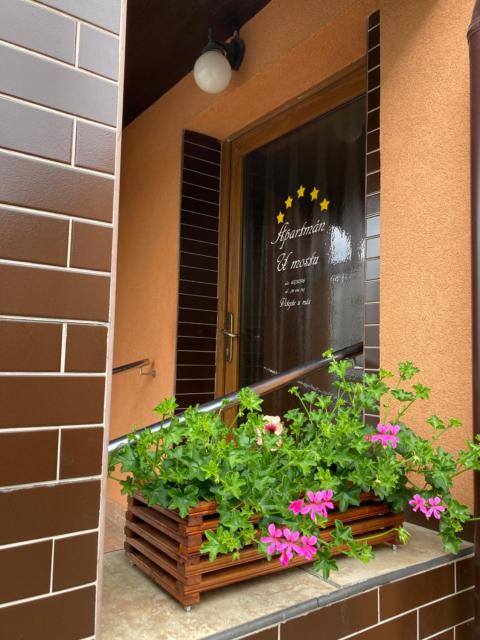 Apartman U Mostu