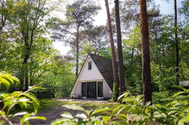 Vakantiehuis Magnolia Nunspeet Veluwe