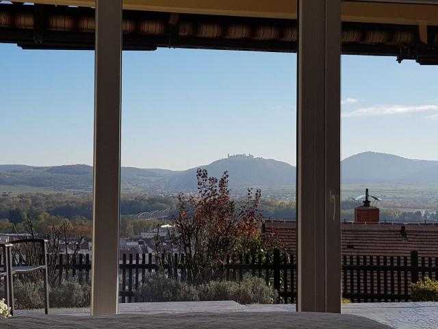 Blick über Krems mit Terrasse