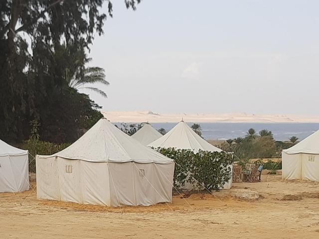 Tunis Camp Fayoum