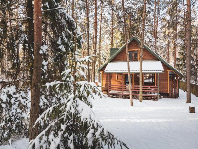 Jarzębinowa - Dom do wynajęcia na Podlasiu