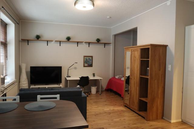 Aleksi Apartment