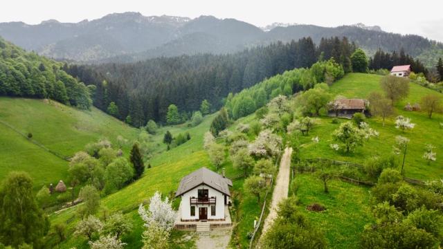 La Căsuță