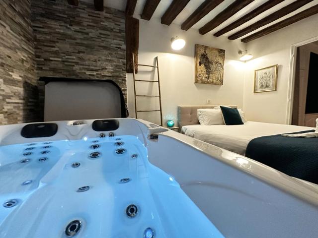 Appartement et Jacuzzi privatif, cœur de Chartres.