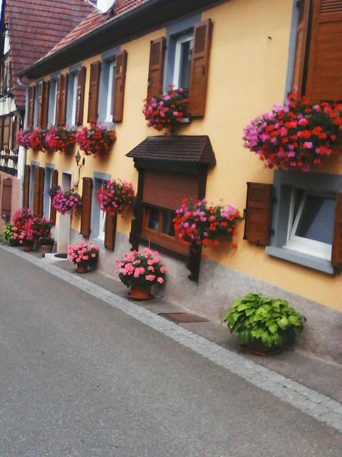 Relais de la diligence