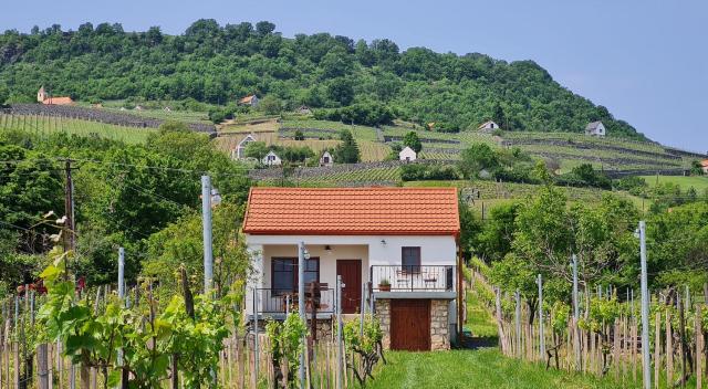 Jera Pince és Vendégház