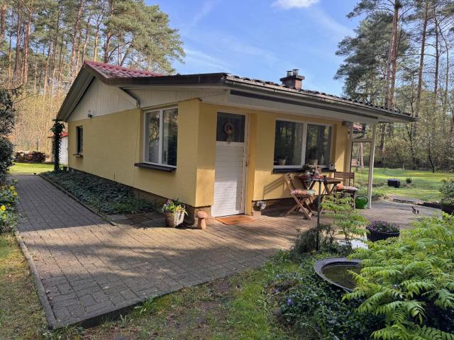 Ferienhaus im Wald