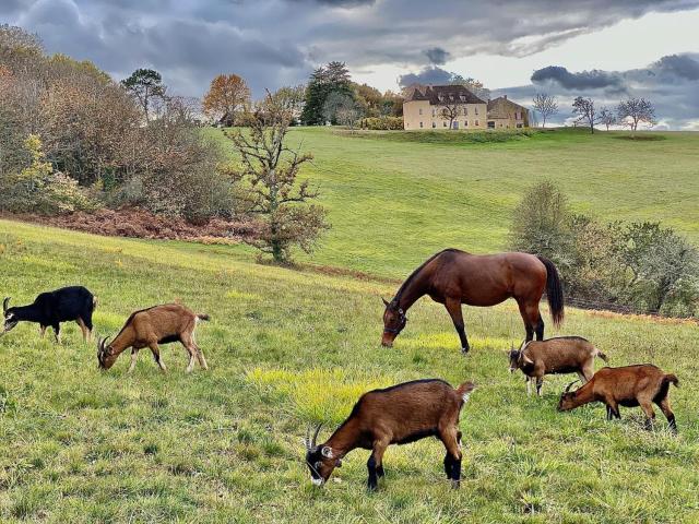 Domaine de Cazal - Gîte 2 pers avec piscine au cœur de 26 hectares de nature préservée