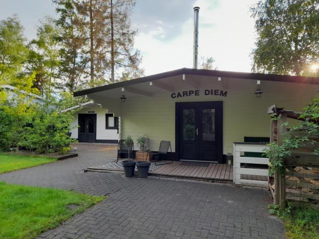 Ruim chalet met houtkachel nabij Wildlands Emmen