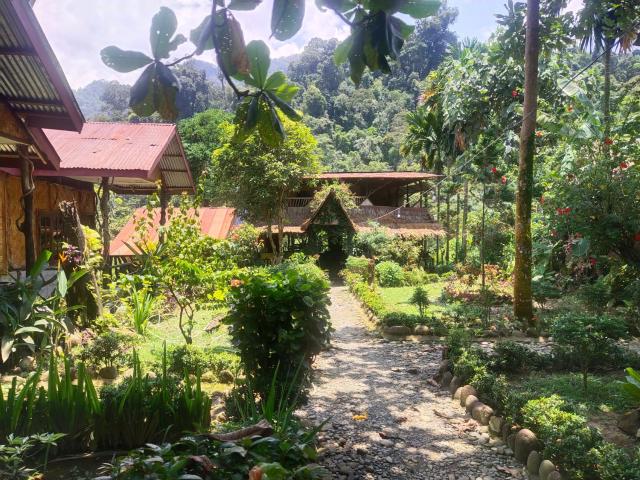 Mountain View Cottages & Villa Tangkahan