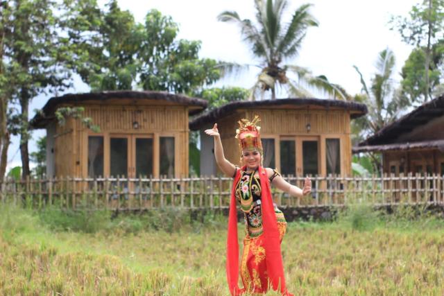 Sawah Ijen