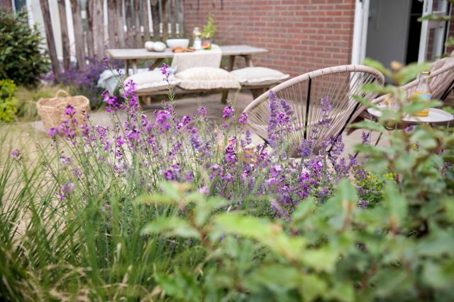 Vakantiehuisje Bloem 4 personen