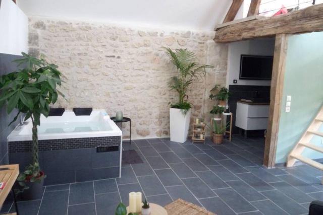 Maison privative, cocooning, zen , avec jacuzzi