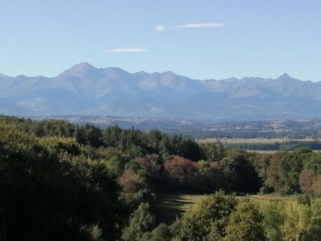 Hello Pyrenees