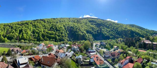 ViewApart Sinaia