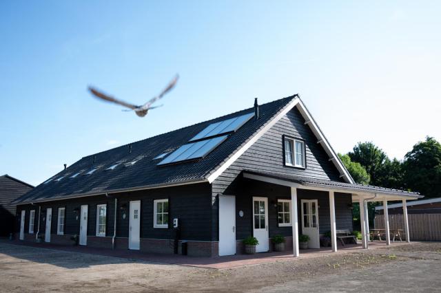 Holiday home de Stamhoeve