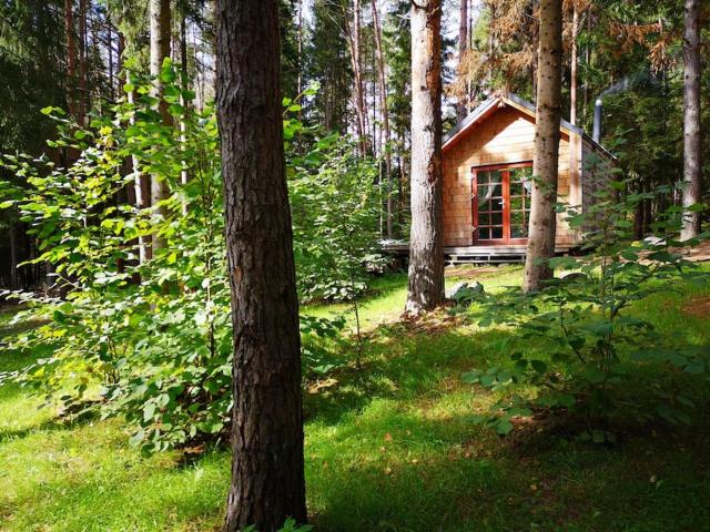 Private cosy forest cabin