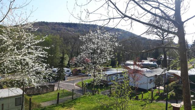 Camping Officiel Wollefsschlucht Echternach