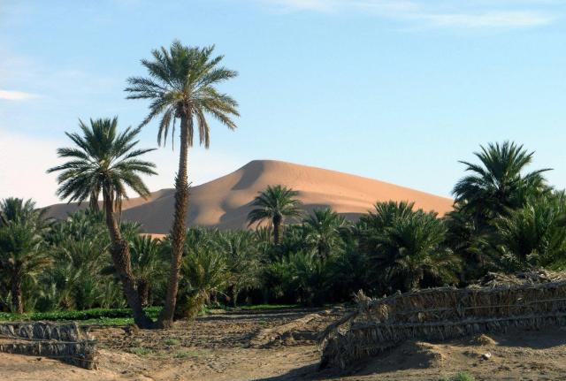 Hotel riad oasis