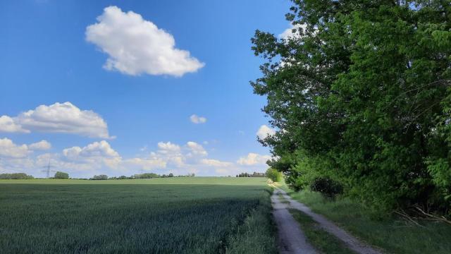 Vierseitenhof Hasenfelde - Ferienwohnung Feldblick