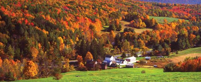 Charming 120-year-old farmhouse by the creek.